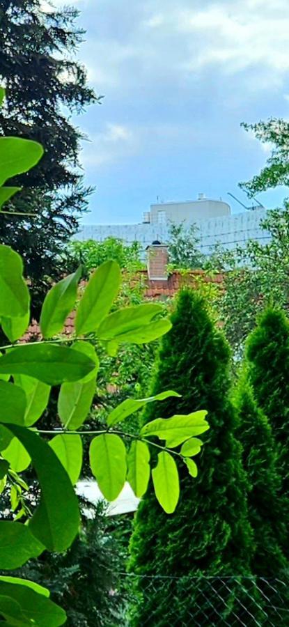 Johnis Fewo, Naehe Stadtzentrum - Uni In Sehr Ruhiger Lage Mit Terrasse Und Eigenem Parkplatz Cottbus Kültér fotó
